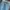 Levi's 513 Blue Wash Jeans photo 4