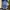 Celana jorts jeans theoria petir photo 2