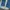 Unknown Blue Wash Jeans  photo 5