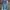 Unknown Blue Wash Jeans 