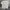 Thisisneverthat Streetwear T-shirt Pria Tan Cream