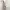 Sonore Asymmetric Lilac Purple Floral V Neck Midi Dress photo 5
