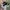 Nike air huarache run kids wolf grey electric volt photo 1