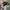 Nike Air Huarache Run Kids Wolf Grey Electric Volt