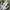 Nike air huarache run kids wolf grey electric volt photo 4