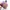 Sepatu Slip On Kanvas Wakai  Dua Tone Warna Kasual Original  photo 8