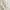 Whimsical White Floral Romantic Ruffle Dress with Lace Trim photo 4