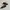 Vintage Streetwear Casual Shoe Pria Brown