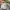 Nike air jordan 1 low toddler pink white photo 6