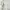 White Embroidered Floral Cheongsam Puff Sleeve Dress