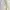 Cream Puff Sleeve Babydoll Mini Dress with Square Neckline photo 3
