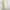 Cream Ruffle Halter Mini Dress with Floral Asymmetrical Hem photo 2