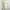 Cream Ruffle Halter Mini Dress with Floral Asymmetrical Hem photo 4