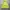 Bershka Reflective Anorack Jacket