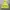 Bershka Reflective Anorack Jacket