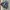 Converse chuck taylor all star full black photo 3