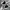 Salomon XT-6 mindful 3 white pepper transparent yellow photo 5