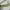sage green croco shoulder bag mini photo 4