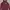 Hoodie Guest maroon photo 1
