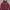 Hoodie Guest Maroon