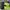 AIR ZOOM ALPHA FLY NEXT LIME BLAST , AIR ZOOM NEXT FLYKNIT L photo 5