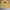 Casual Sweatshirt Pria Yellow