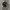 Seiko 5 Automatic 21 Jewels Military second original  photo 2