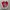 Converse Chuck Taylor All Star 70S HI GORE-TEX ‘Enamel Red’ photo 3