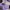 Nike sb zoom blazer mid photo 10