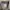 Y2K Casual shirt Pria multicolor photo 5
