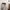 Adidas Gorpcore Casual Hoody Pria white photo 2