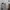 Adidas Gorpcore Casual Hoody Pria white photo 3