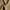 Christian Dior active waist high rised cuffed women trousers photo 8