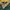 NfL jersey  photo 2