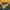 NfL Jersey 