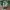 NfL jersey  photo 4
