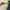 LC LongChamp* Black Classic Le Pliage Medium photo 2