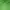Vintage Mini skirt Wanita green photo 2