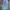 Levi's Strauss Blue Jeans  photo 5
