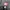APLE PINK PUFFER JACKET photo 8