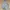 CALIFORNIA REVESIBLE JACKET photo 5