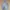 CALIFORNIA REVESIBLE JACKET photo 1