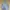 CALIFORNIA REVESIBLE JACKET