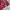 Sweater Tommy Hilfigher Knitwear Rajut Pria Maroon photo 4