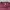 Sweater Tommy Hilfigher Knitwear Rajut Pria Salur Burgundy photo 4