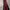 TRACKPANTS ADIDAS FONT LOGO FIREBIRD photo 5