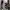 Chrome Hearts Spell Out Cross Snap Button Training Pants photo 2