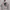 Hoodie santa cruz hand scream spellout photo 1