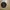 Pin Nazi Adolf Hitler Versi Asli photo 2