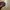 Pin Nazi Adolf Hitler Versi Asli photo 3